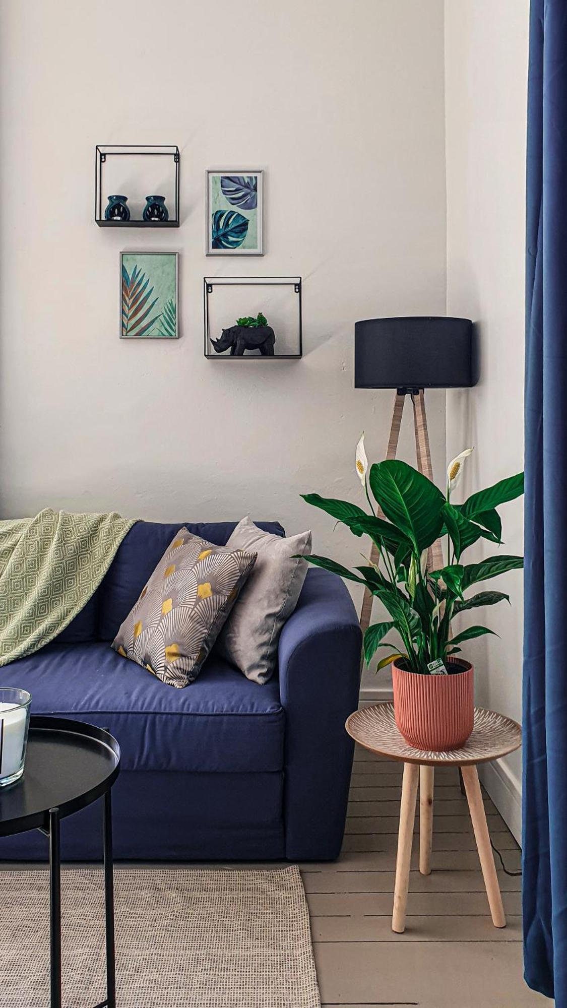 Charming Studio With View Of The Abbaye-Aux-Hommes Caen Zimmer foto